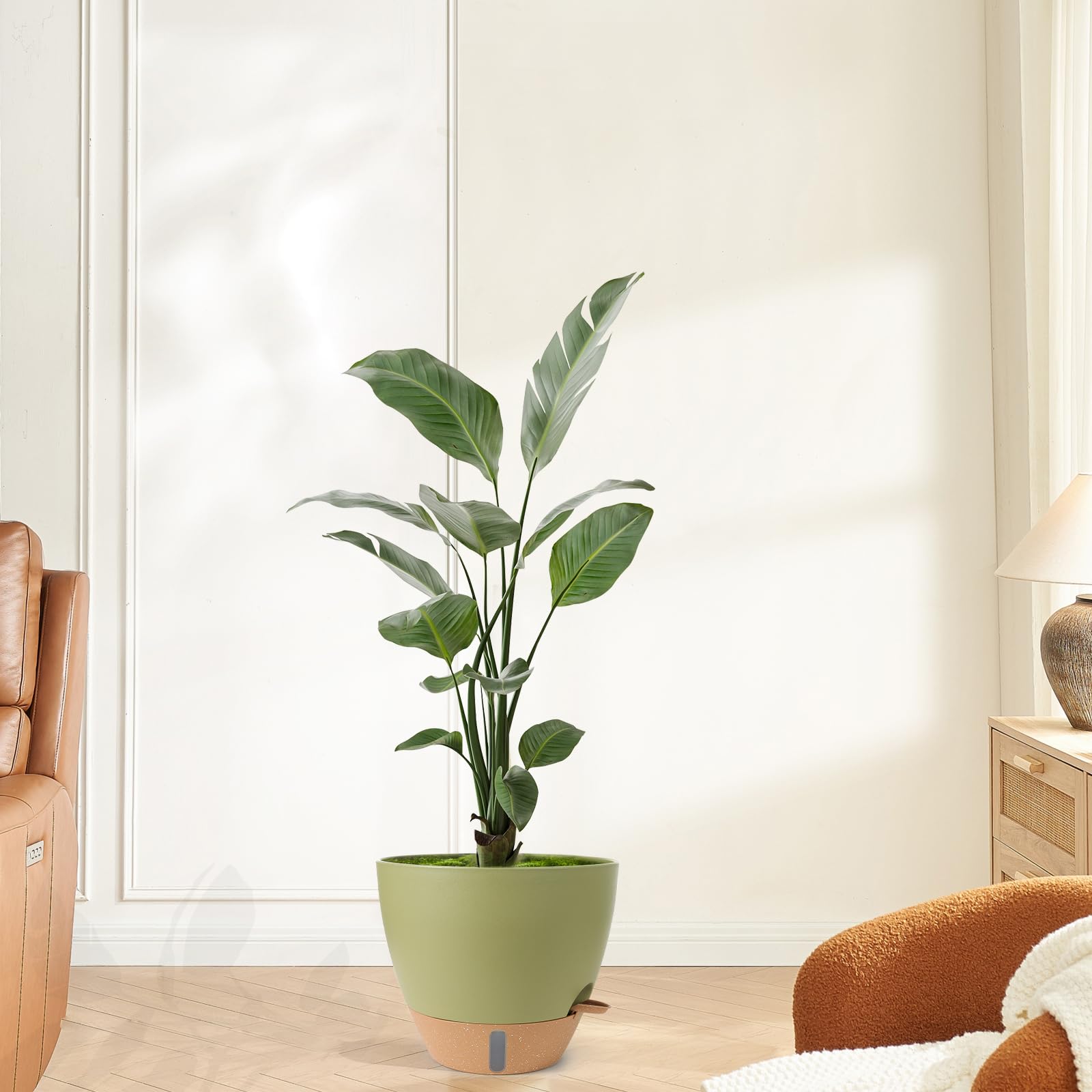 WEICHENGXING durable plastic plant pot designed for indoor and outdoor use