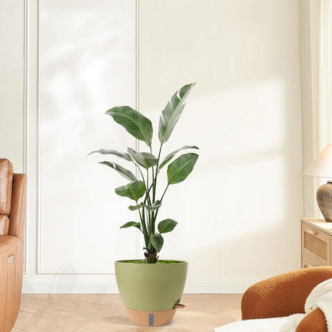 WEICHENGXING durable plastic plant pot designed for indoor and outdoor use