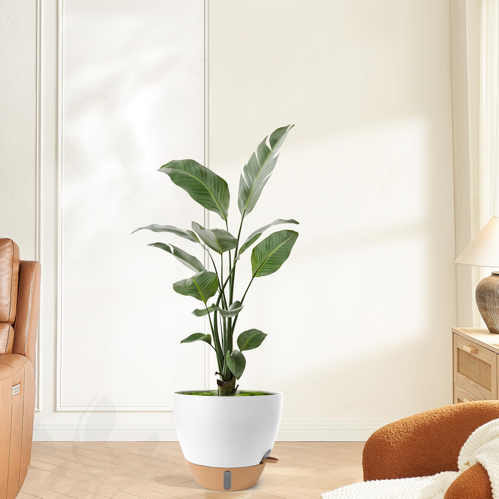 WEICHENGXING lightweight, durable plastic pot for indoor and outdoor plants.