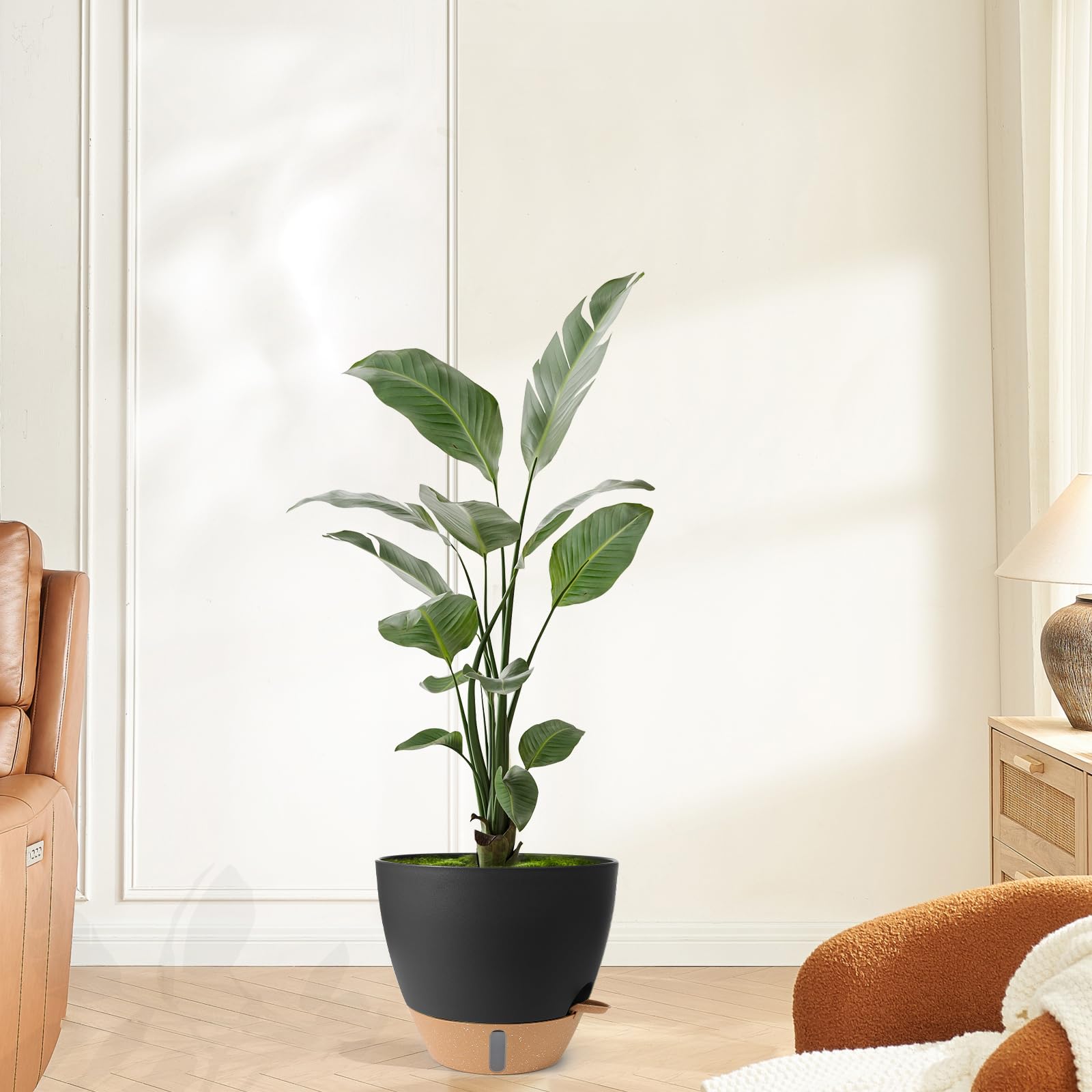 Weichengxing black planter complements indoor or outdoor spaces beautifully.