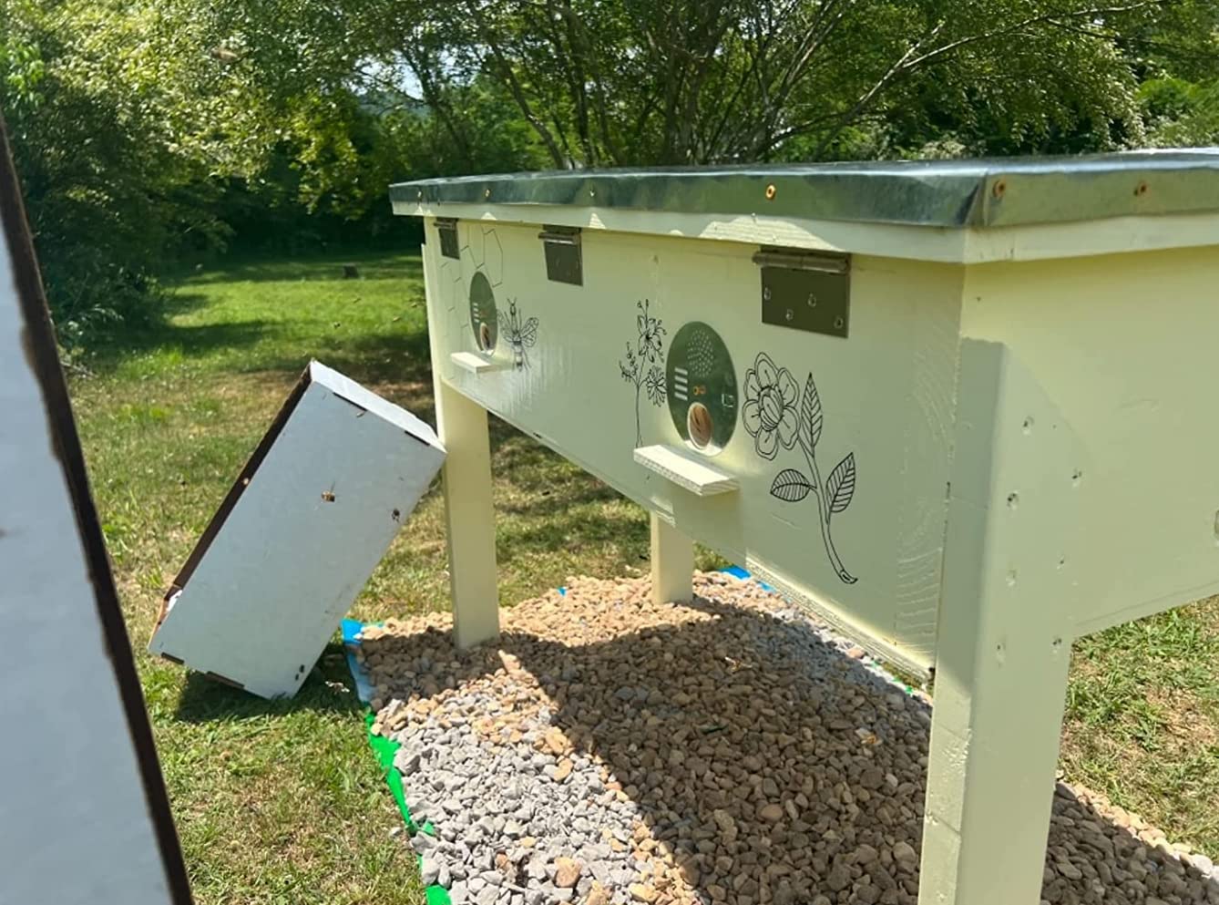 WEICHUAN 10-pack entrance disks set for flexible hive entry control.