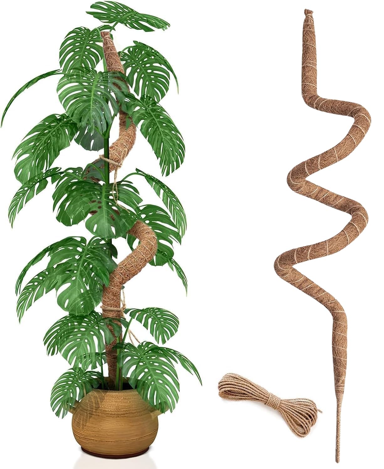 Wekuch bendable moss pole supports Monstera growth and air root development.