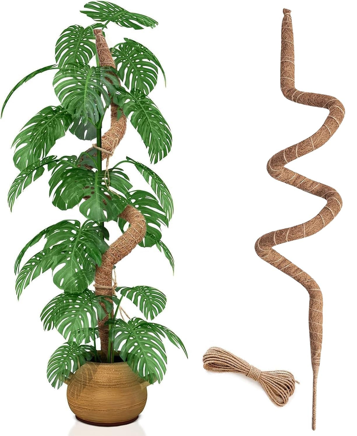 Wekuch bendable moss pole supports Monstera growth and air root development.