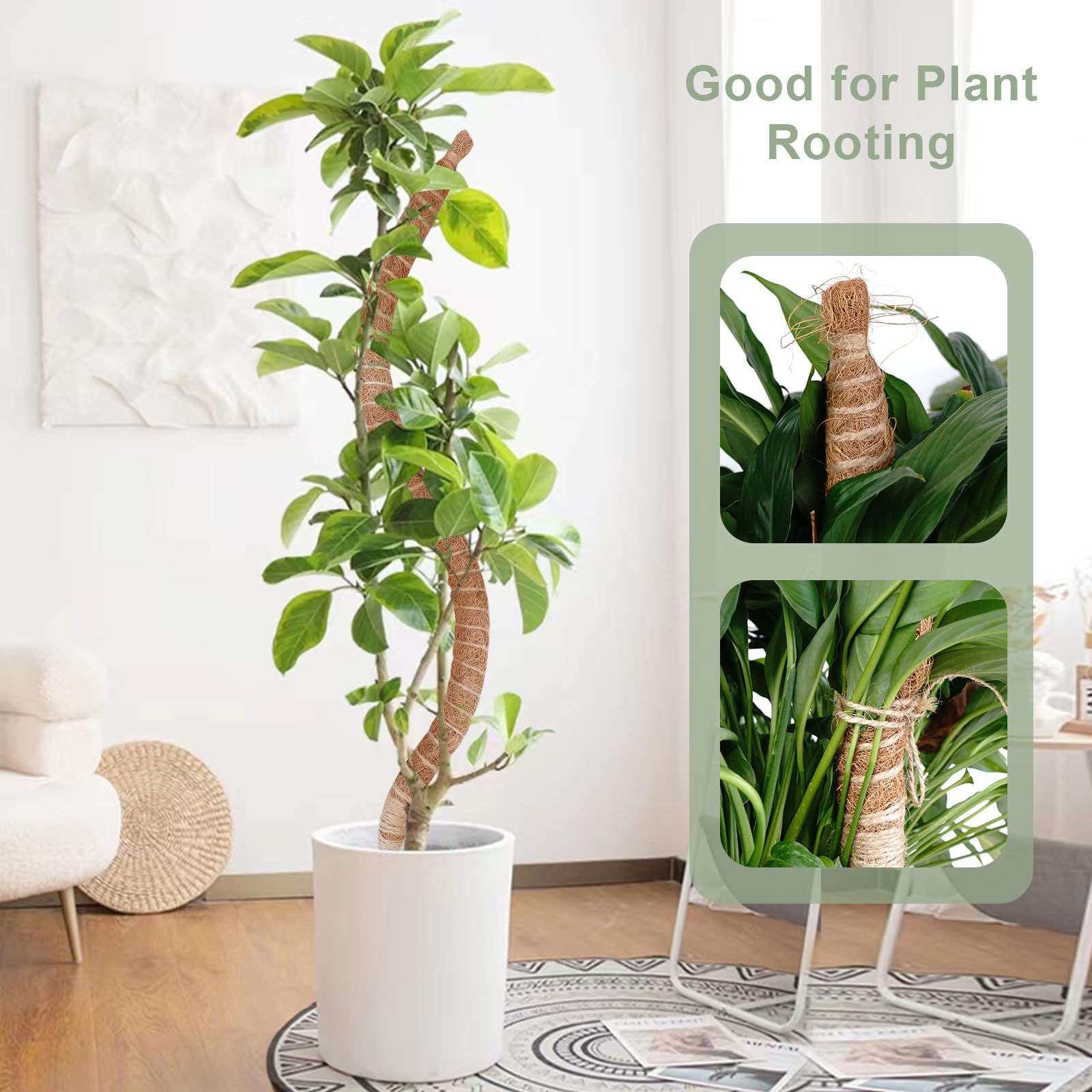 Wekuch moss pole for climbing plants helps plants train upward.