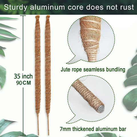 Wekuch heart shape moss pole guiding climbing plants with decorative training potential.