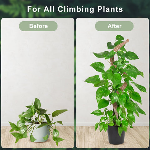 Wekuch aluminum core moss pole stays sturdy and rust-free during use.