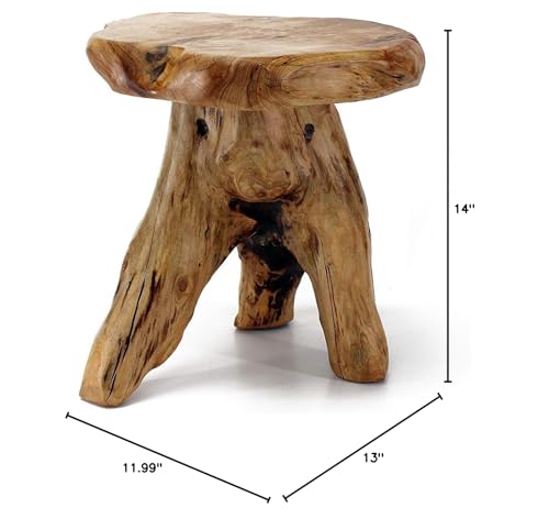 WELLAND cedar stump stool living room use with plant on its surface.