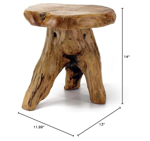 WELLAND cedar stump stool living room use with plant on its surface.