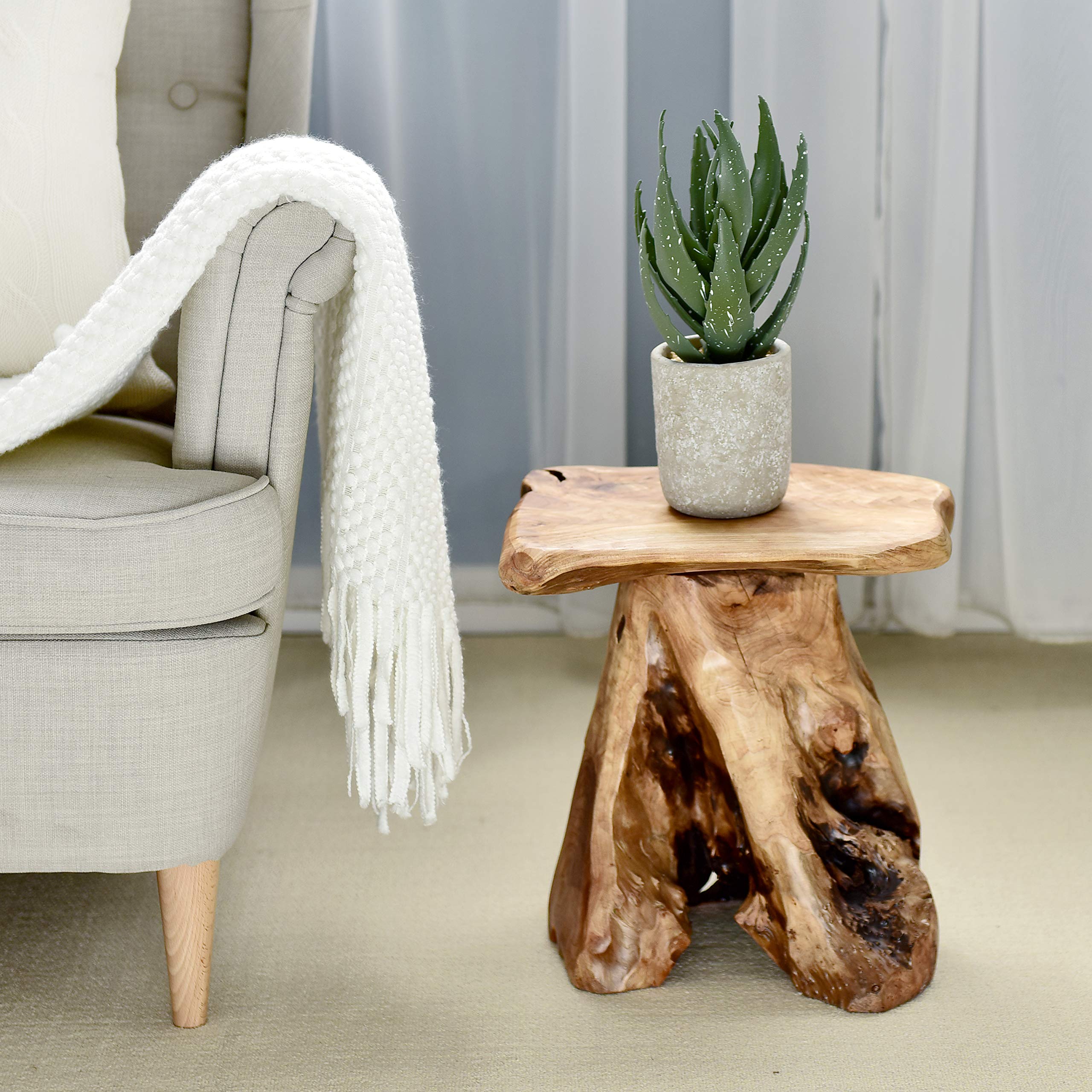 WELLAND cedar stump stool plant stand adds natural greenery focus.