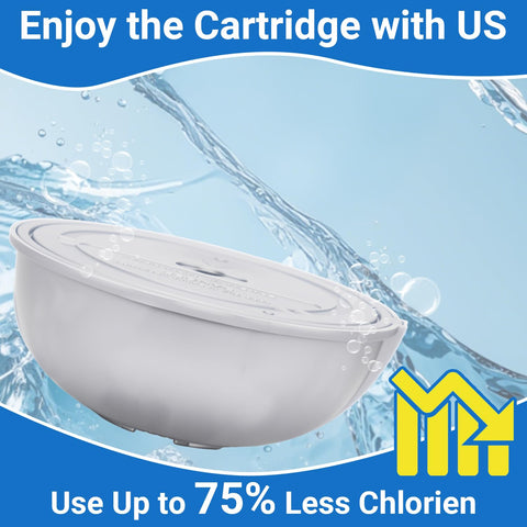 Welliboom hot tub cartridge compatible with Frog Ease system for hassle-free maintenance.