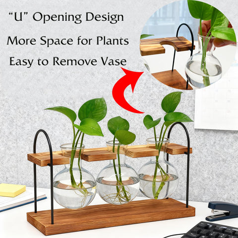 Wellinc propagation station all-in-one keeps cuttings tidy and accessible
