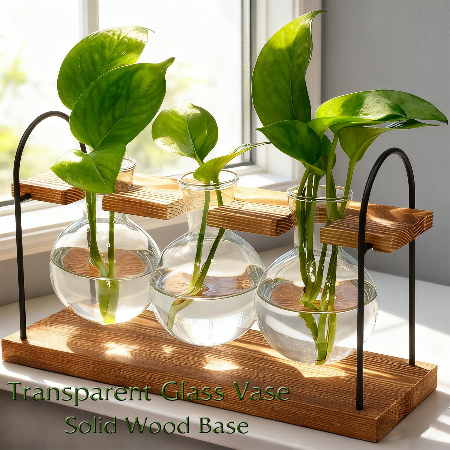 Wellinc retro glass bulbs elevate decor while enabling propagation