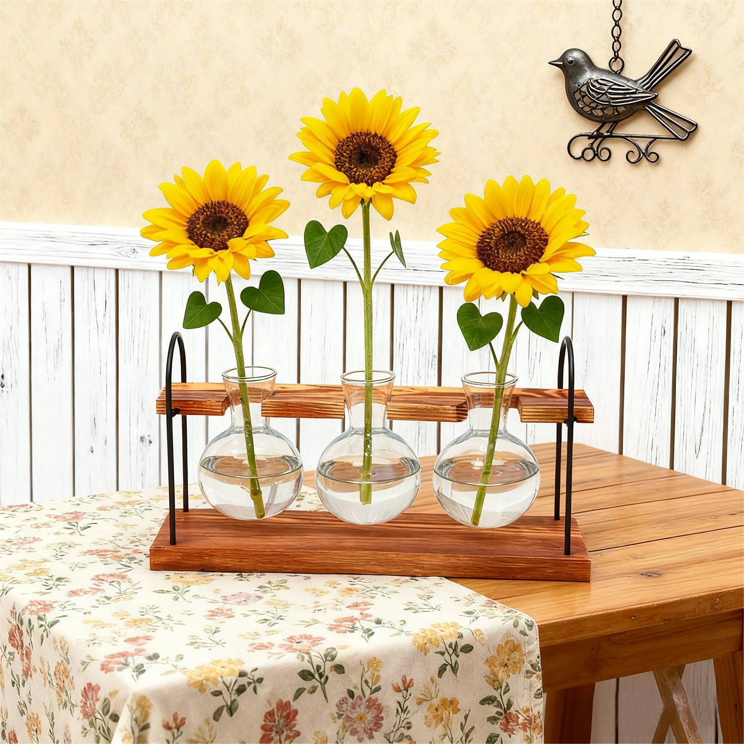 Wellinc tabletop garden display supports herbs and pothos with minimal mess