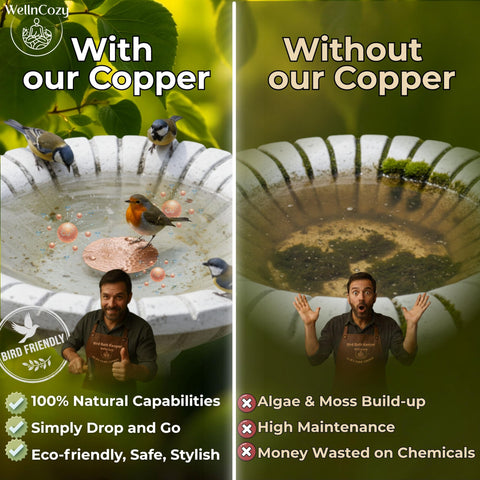 WellnCozy copper disc raised base supports stable placement.