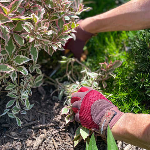Wells Lamont ComfortHyde glove wrist adjustment for secure, debris-free wear.