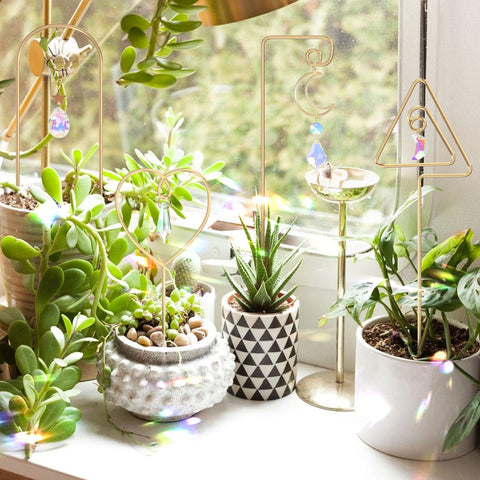 WellSign 14-inch mini trellis decor pairs with spider plants.