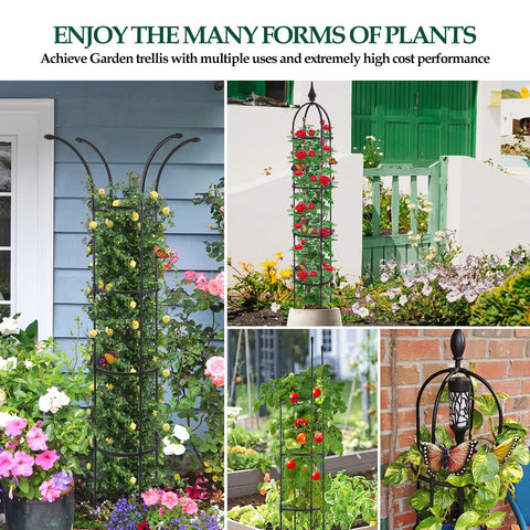 WellSign 2-pack obelisk trellises for versatile garden setups.