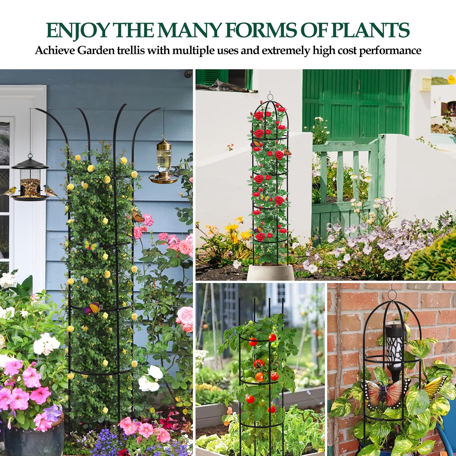 WellSign garden twist tie included for gentle training and tidy growth