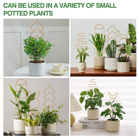 WellSign indoor plant trellis 16inch pattern B offers sturdy support for ivy and flowers.