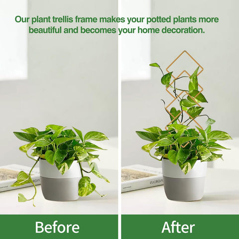 WellSign different-pattern pack trellis fits multiple pots and styles.