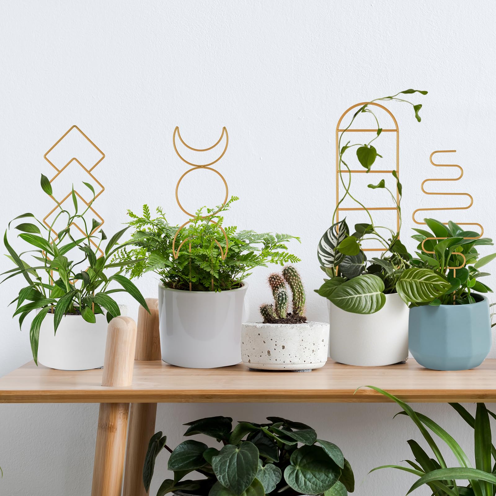 WellSign indoor plant trellis room setup demonstrates organized greenery.