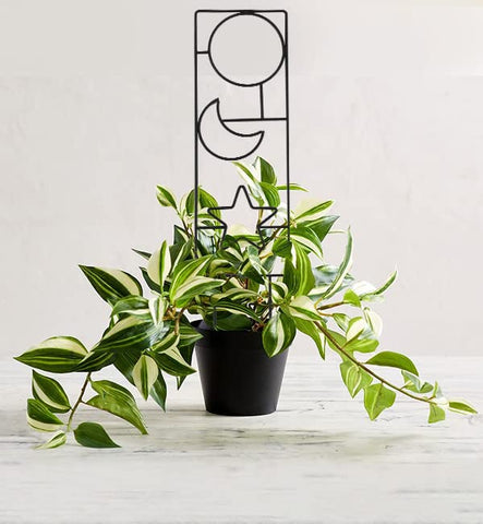WellSign trellis set includes 100 ties for secure wrapping