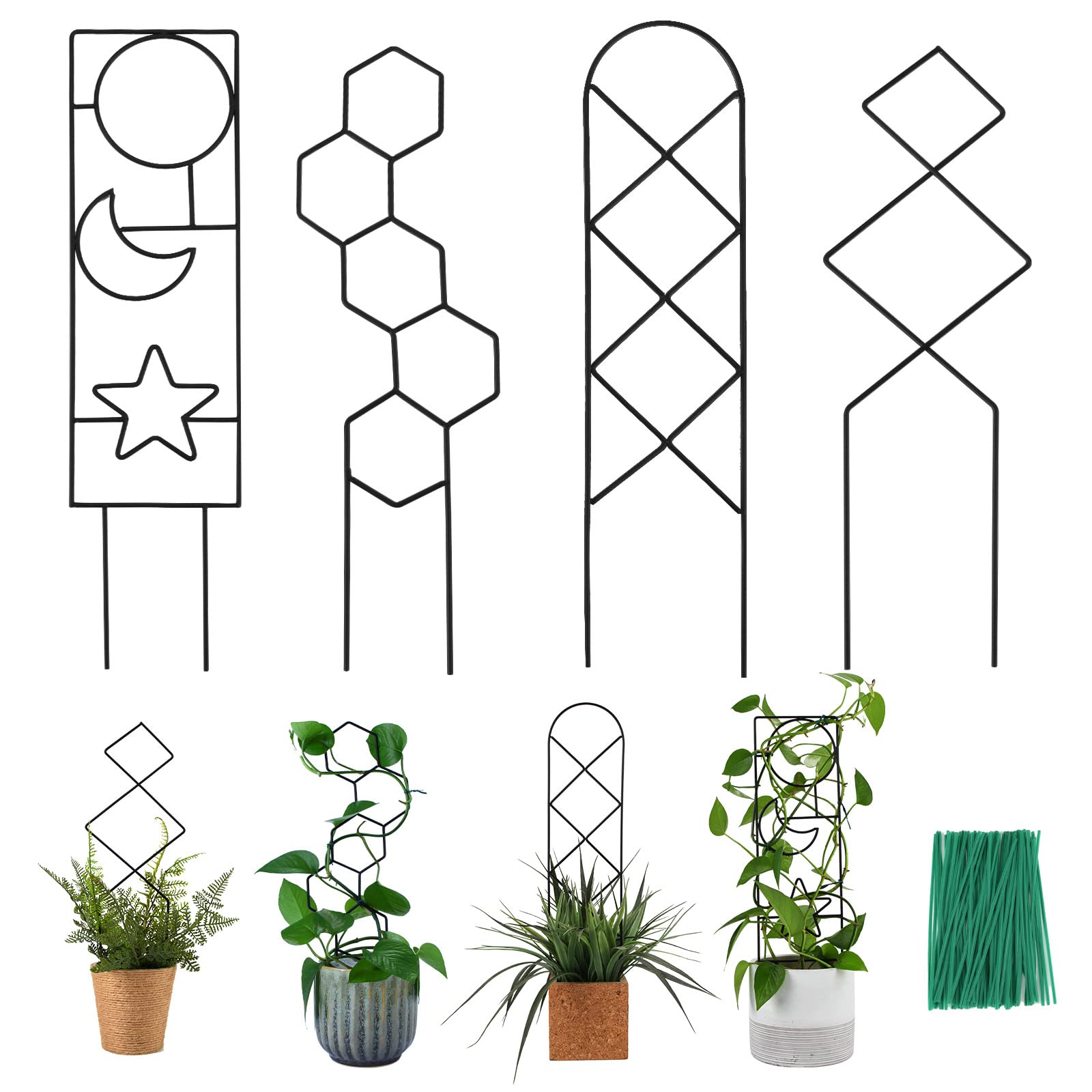 WellSign plant trellis compact lattice panel supports upward growth indoors