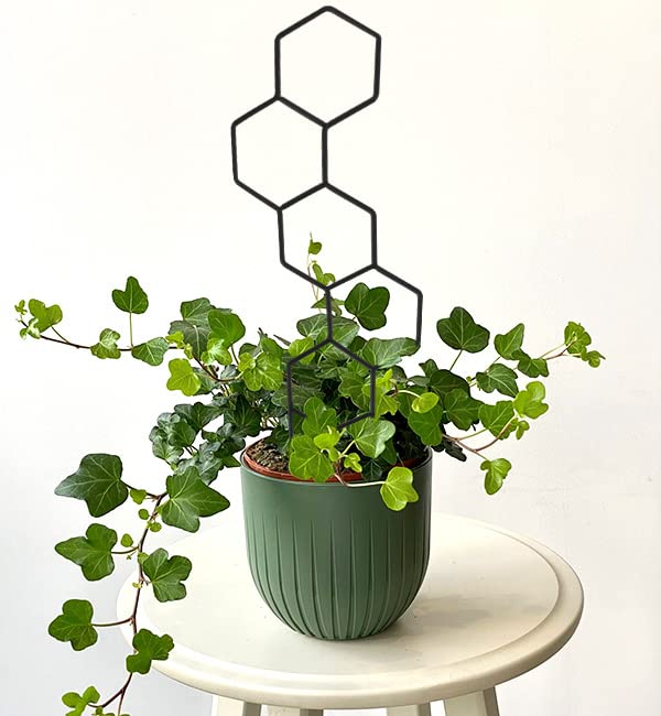 WellSign decorative lattice enhances home plant aesthetics
