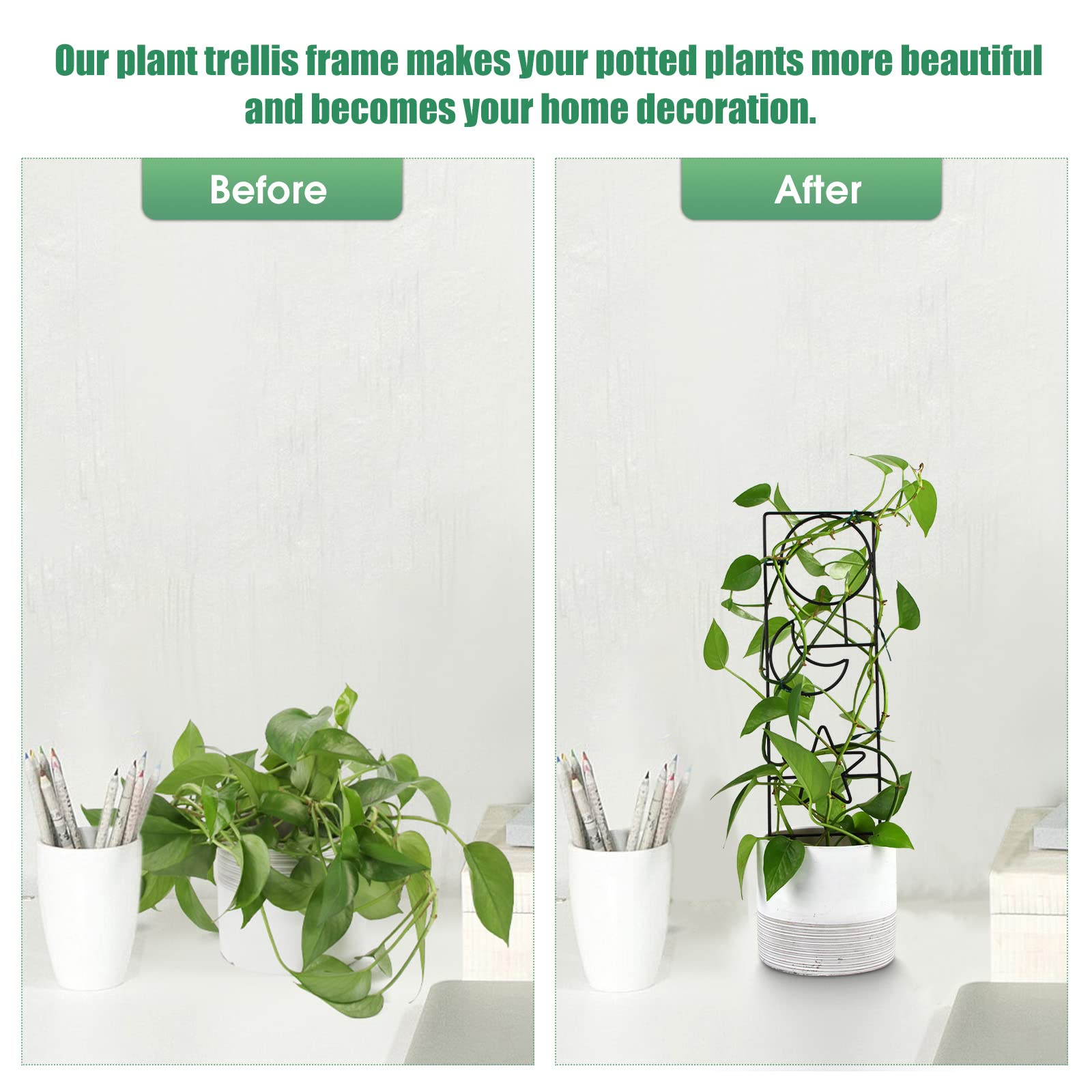 WellSign lattice supports vines for better sunlight exposure