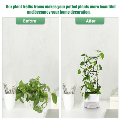 WellSign lattice supports vines for better sunlight exposure