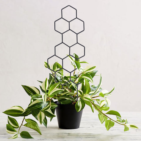 WellSign trellis supports tomato and chili peppers in a planter