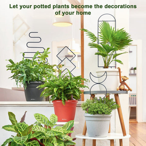 WellSign trellis indoors demonstrates vertical gardening in small spaces.