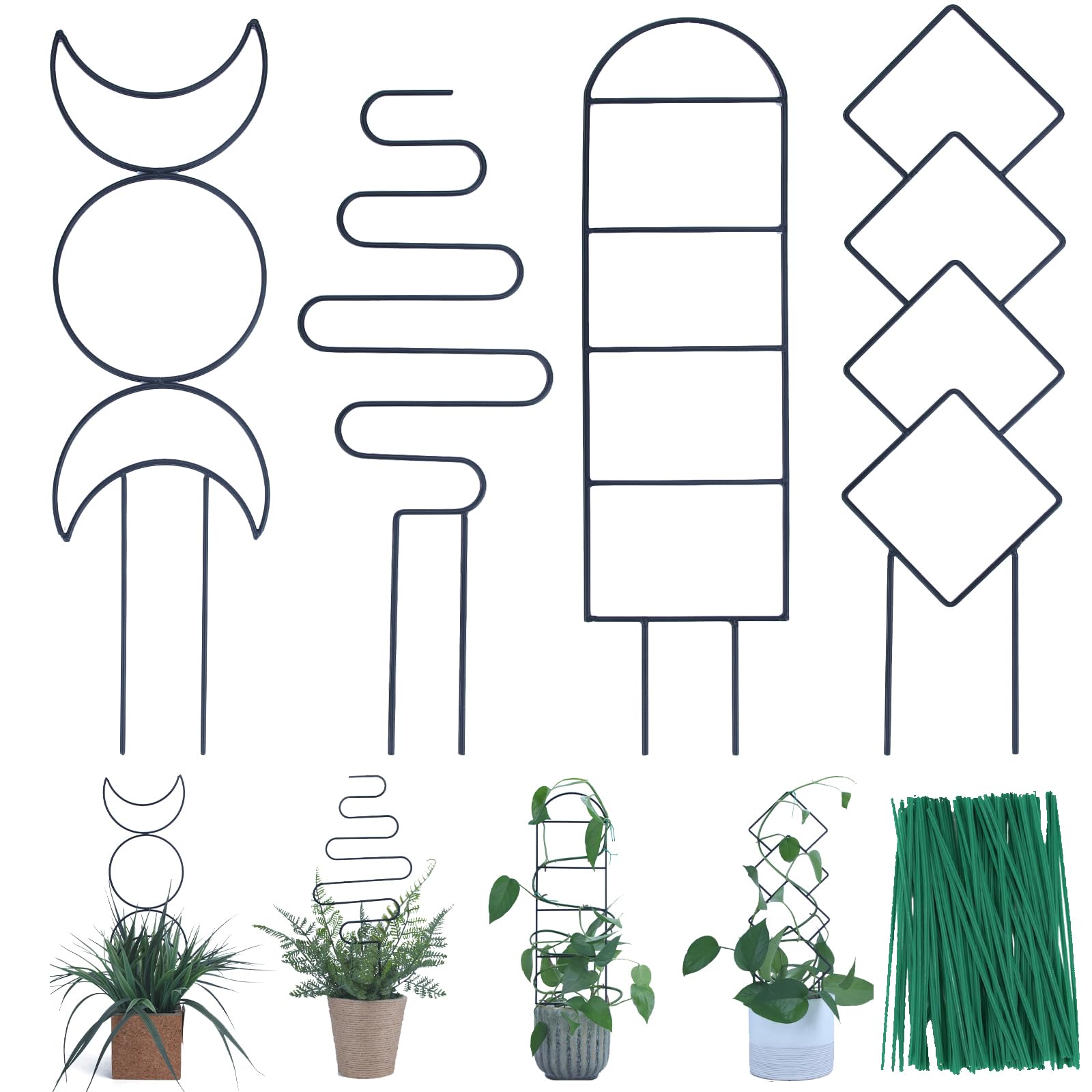 WellSign trellis pattern A supports climbing vines for vertical growth indoors.