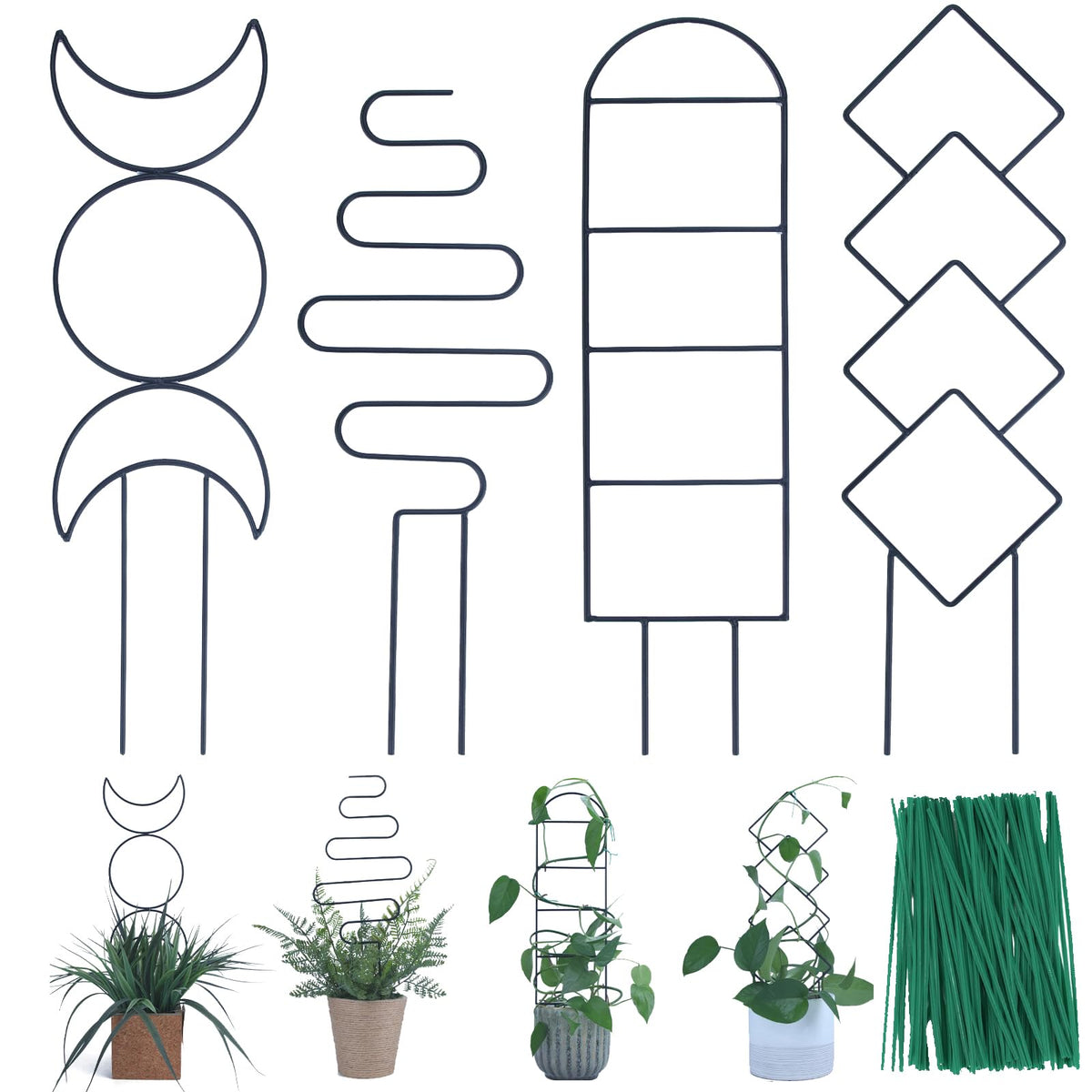 WellSign trellis pattern A supports climbing vines for vertical growth indoors.