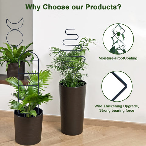 WellSign trellis pattern C strengthens vines outdoors, preventing sagging with sturdy metal.