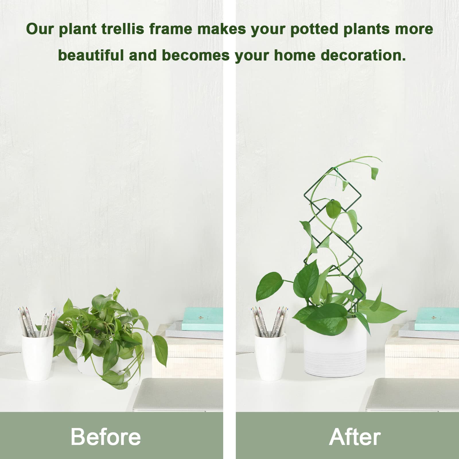 WellSign trellis pattern D features geometric lines for modern plant displays.