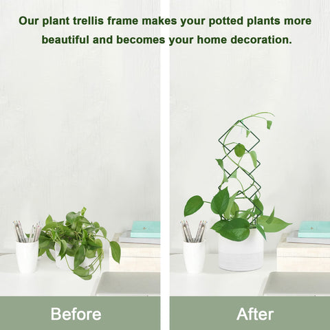 WellSign trellis pattern D features geometric lines for modern plant displays.