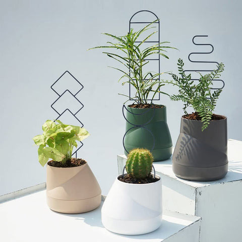 WellSign trellis with vines creates living decor on shelves.