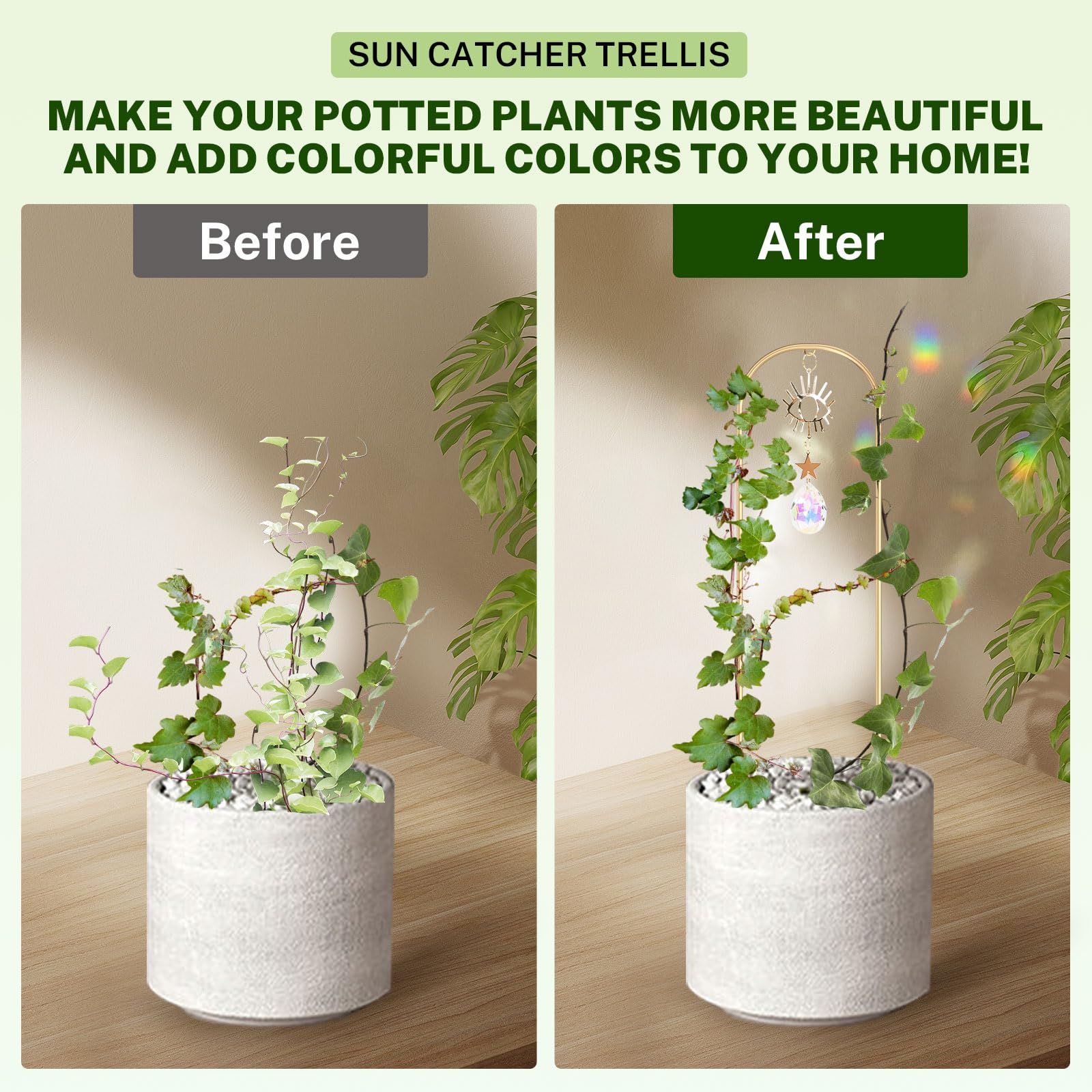 WellSign window garden decor shines in sunlit corners.