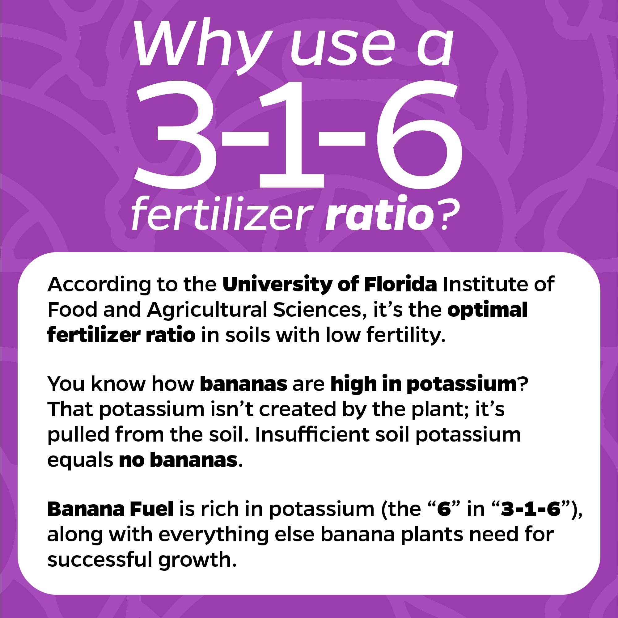 Banana Fuel bottle being diluted in water for simple, precise plant feeding.