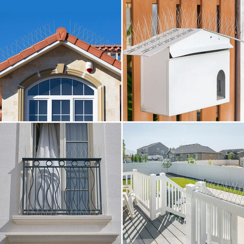 Harmless deterrent keeps ledges clear of birds