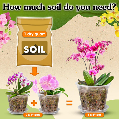 Wemoss mix with perlite enhances drainage to prevent waterlogging in orchids.