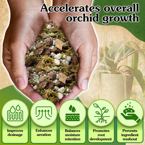 Wemoss pumice promotes fast, well-draining root development.