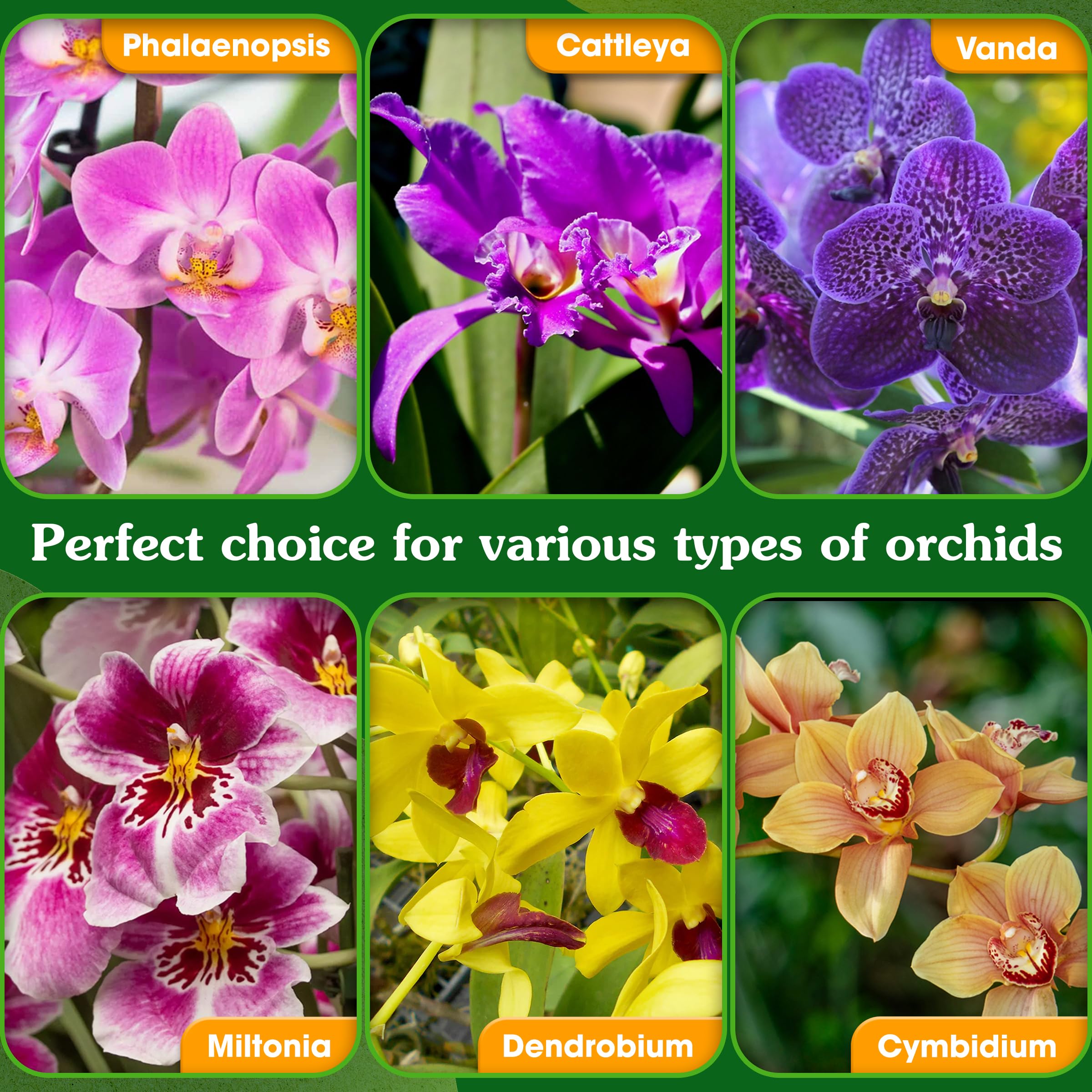 Wemoss ready-to-use pack offers convenient all-in-one orchid potting solution.