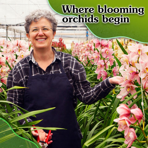 Wemoss orchid mix is suitable for tropical plants like Hoyas and bromeliads.