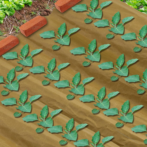 Wenfan greenhouse and garden paper helps organized layouts for tidy beds indoors or outdoors.