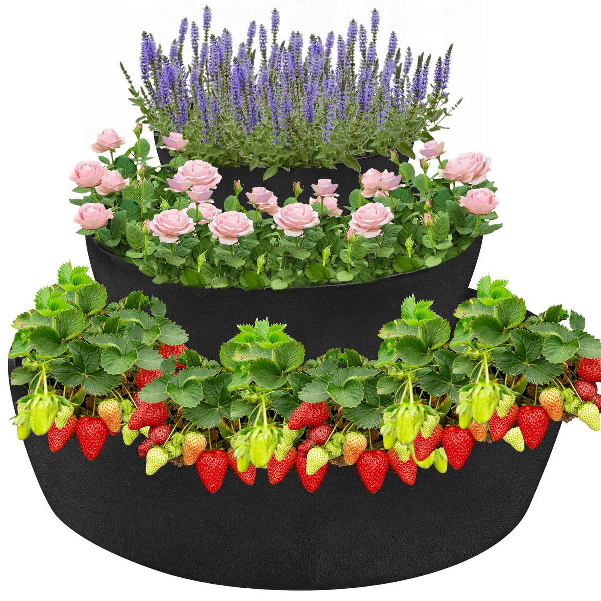 Wenfan bottom layer 39in diameter for roomy root growth and easy planting