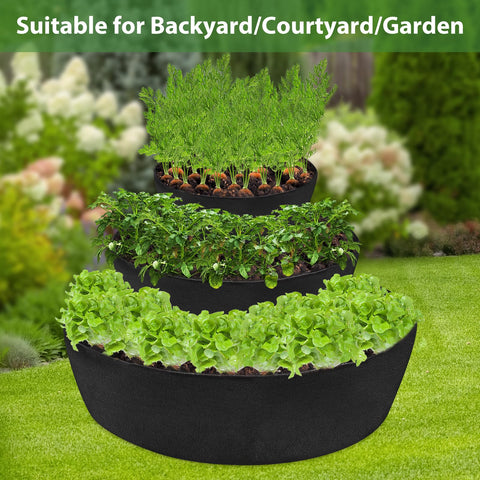 Wenfan spacious soil capacity enabling robust plant growth
