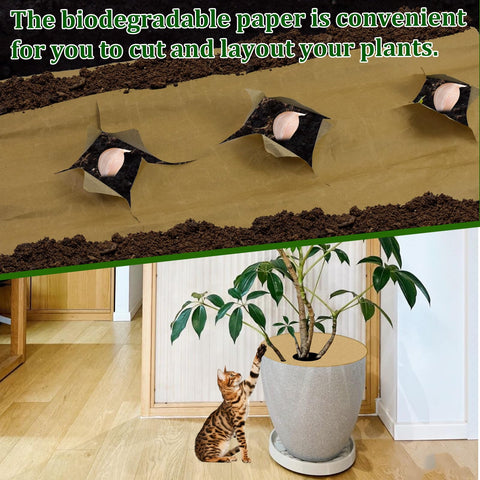 Wenfan weed block paper for garden mulch film prevents weeds and supports healthy root growth.