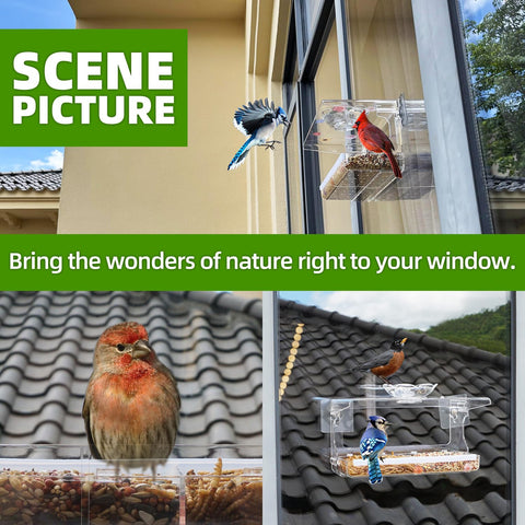 WENMIXER backyard watching scene shows easy setup and observation.